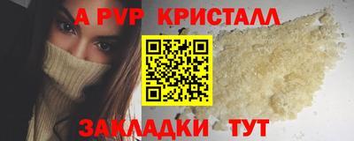 стаф Бузулук