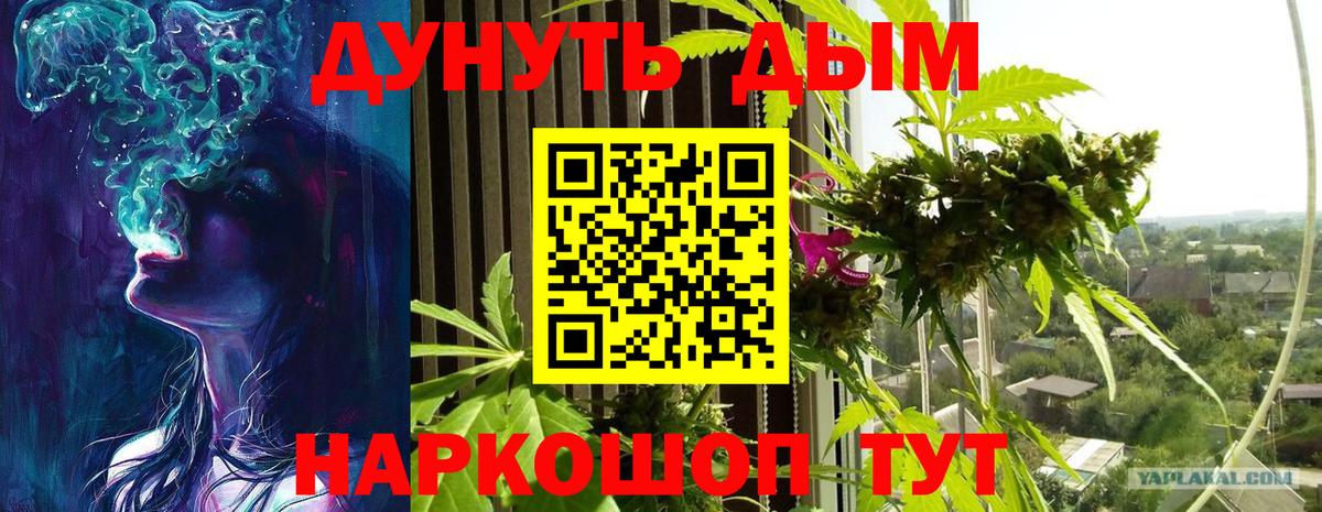 Шишки марихуана индика Шали